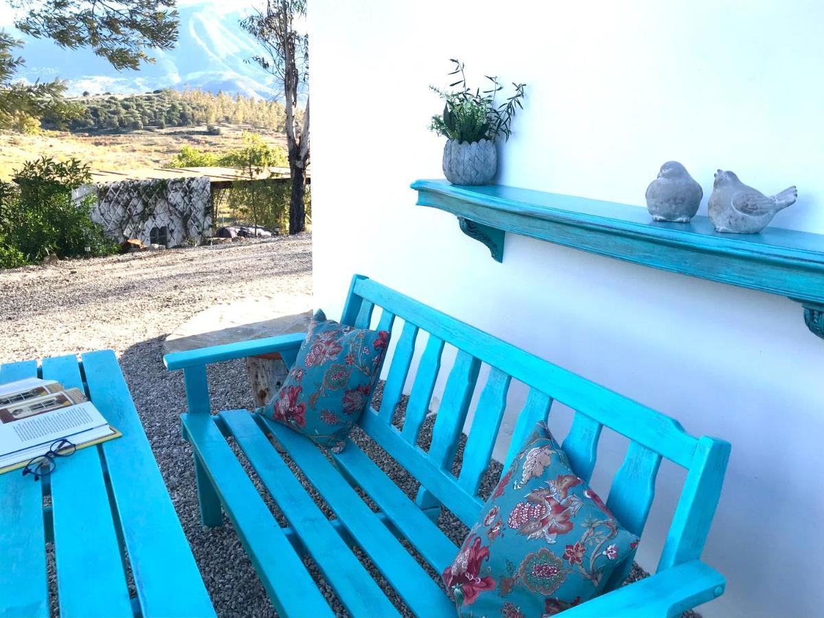 La Rustica En Vinuela, Piscina Privadaヴィラ エクステリア 写真